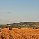 В преддверии осени
